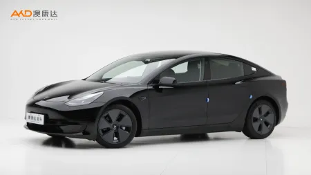 二手特斯拉Model 3 标准续航后驱升级版