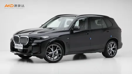 二手宝马X5 xDrive30Li 尊享型 M曜夜套装