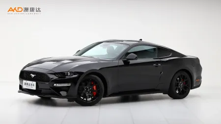 二手野马  EcoBoost