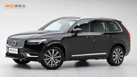 二手沃尔沃XC90 E驱混动 T8 智尊豪华版 7座