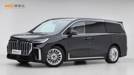 二手岚图梦想家 PHEV 超长续航尊贵版