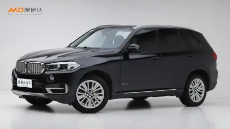 二手宝马X5 xDrive35i 领先型