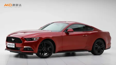 二手野马 性能版