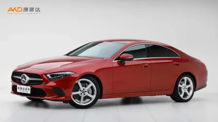 二手奔驰CLS300 动感型