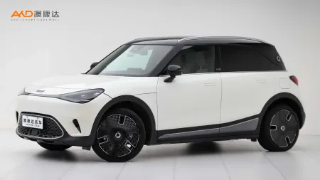 二手Smart精灵#1 Premium版