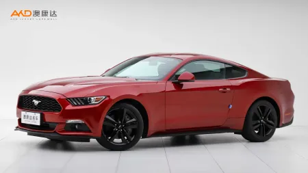 二手野马 性能版