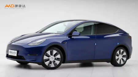 二手特斯拉Model Y 标准续航后驱版
