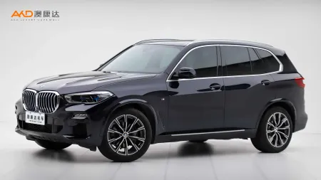二手宝马X5 xDrive40i M运动套装