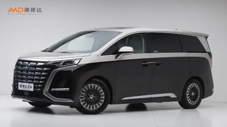 二手腾势D9 PIONEER 四座创领版