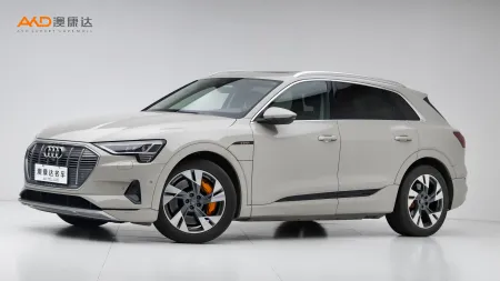 二手奥迪e-tron 55 quattro 技术型