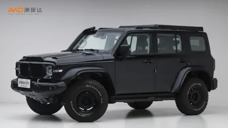 二手坦克300 2.0T 铁骑02