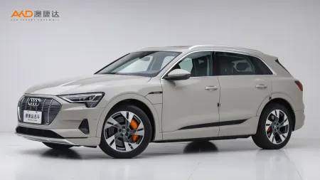 二手奥迪e-tron 55 quattro 技术型