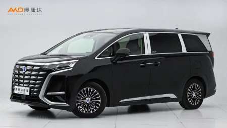 二手腾势D9 DM-i 980 四驱尊贵型