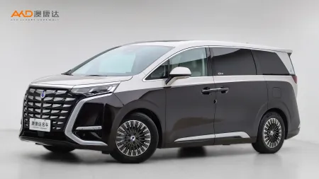 二手腾势D9 PREMIER 创始版