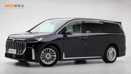二手岚图梦想家 PHEV 超长续航尊贵版