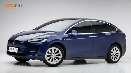 二手特斯拉Model X 100D  6座