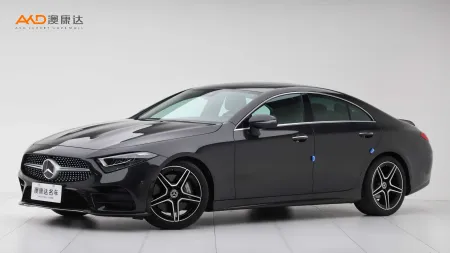 二手奔驰CLS300 豪华型