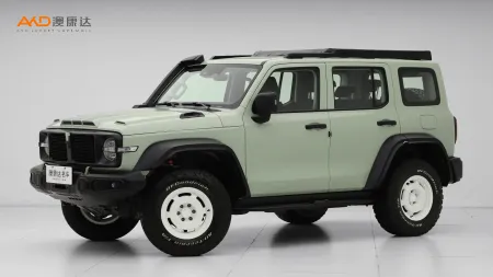 二手坦克300 2.0T 铁骑02