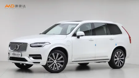 二手沃尔沃XC90 E驱混动 T8 智尊豪华版 7座
