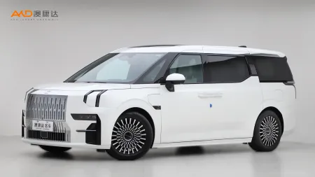 二手极氪009 WE版