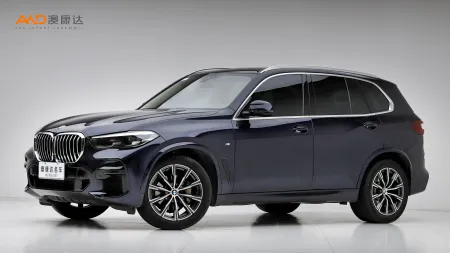 二手宝马X5 xDrive30i M运动套装