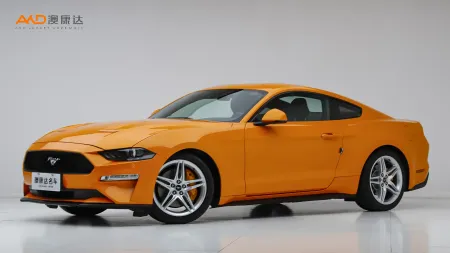 二手野马  EcoBoost性能加强版