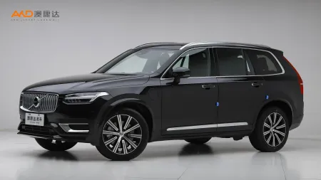 二手沃尔沃XC90 改款 E驱混动 T8 智尊豪华版 7座