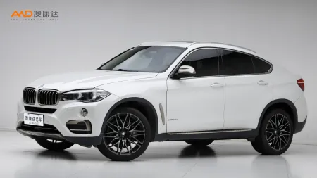 二手宝马X6 xDrive35i 领先型
