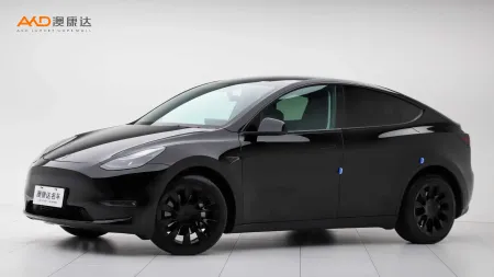 二手特斯拉Model Y 标准续航后驱版