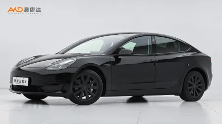 二手特斯拉Model 3 标准续航后驱升级版3D6