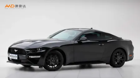 二手野马 EcoBoost