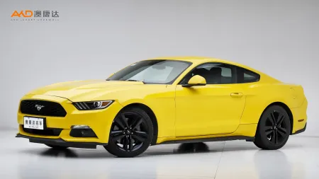 二手野马 性能版