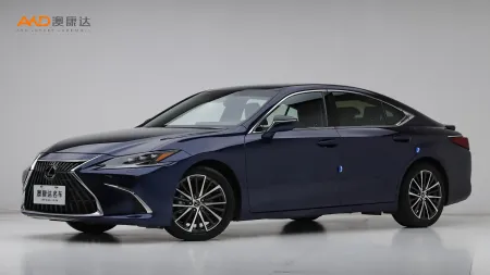 二手雷克萨斯 ES300h 臻享版