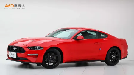 二手野马 EcoBoost