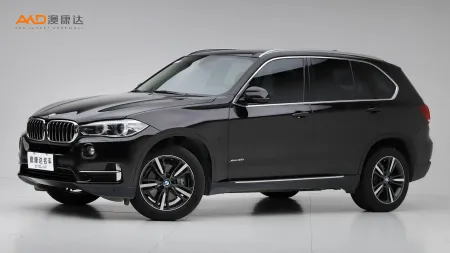 二手宝马X5 xDrive35i 典雅型