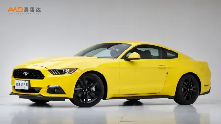 二手野马 性能版