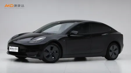 二手特斯拉Model 3 标准续航后驱升级版