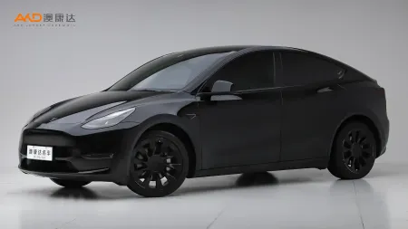 二手特斯拉Model Y 标准续航后驱版