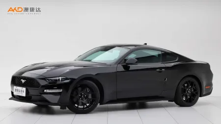 二手野马 EcoBoost