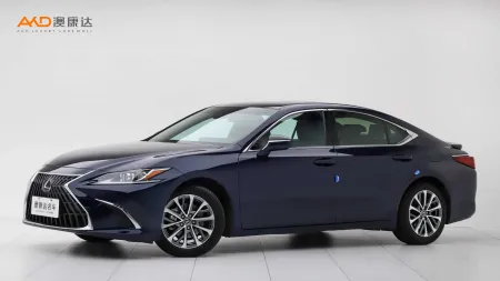 二手雷克萨斯 ES300h 卓越版