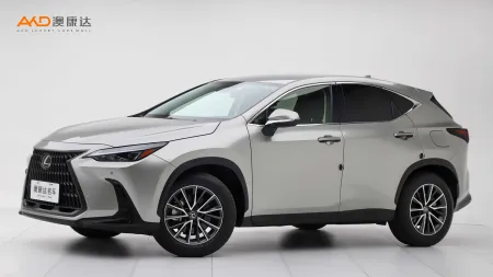 二手雷克萨斯 NX260 前驱创驰版