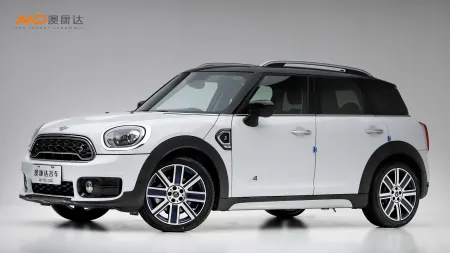 二手Mini COUNTRYMAN COOPER S ALL4艺术家