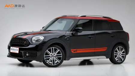 二手Mini COUNTRYMAN COOPER S ALL4艺术家