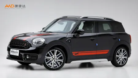 二手Mini COUNTRYMAN COOPER S ALL4艺术家