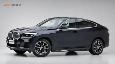 二手宝马X6 xDrive30i M运动套装