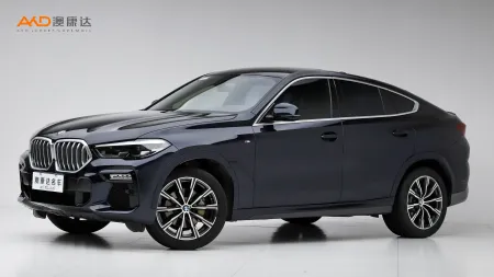 二手宝马X6 xDrive30i M运动套装