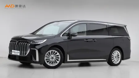二手岚图梦想家 PHEV 超长续航尊贵版