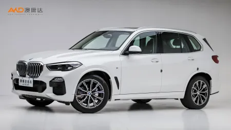 二手宝马X5 改款 xDrive30i M运动套装