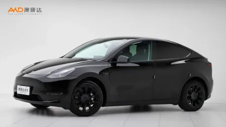 二手特斯拉Model Y 标准续航后驱版