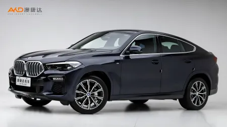 二手宝马X6 xDrive30i M运动套装